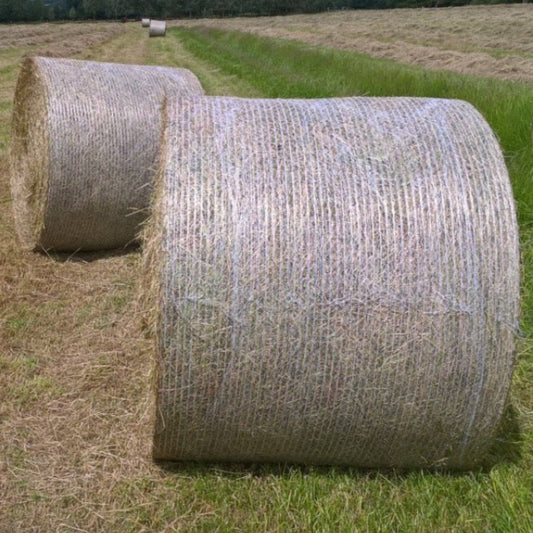 Roll of Hay